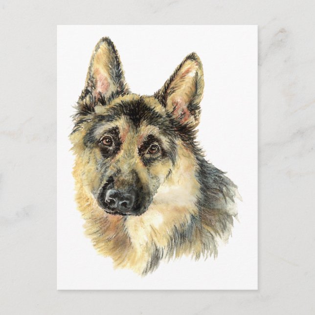 Watercolor German Shepherd Pet Dog Animal Postcard (Front)