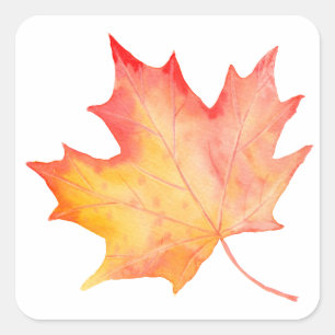 Watercolor Golden Maple Leaf Square Sticker