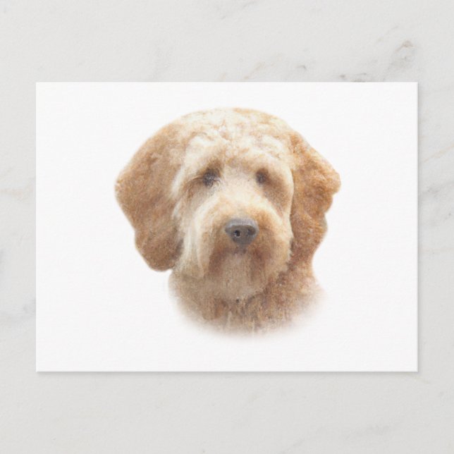 Watercolor Goldendoodle Postcard (Front)