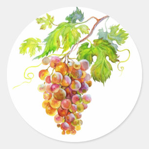Watercolor Grape Bunch Botanical Painting Classic Round Sticker