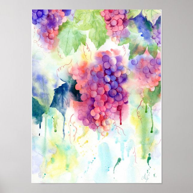 Watercolor Grape Vine Poster (Front)