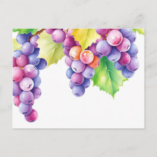 Watercolor Grapes on Clean White Background Postcard