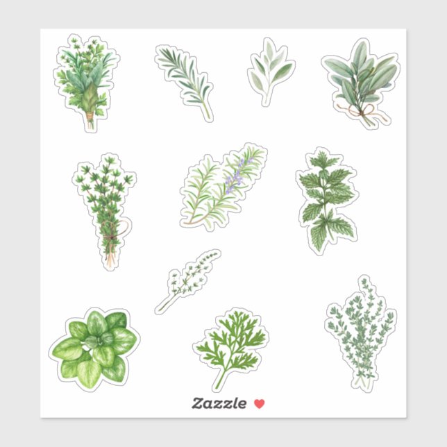 Watercolor Green Kitchen Herbs  (Sheet)