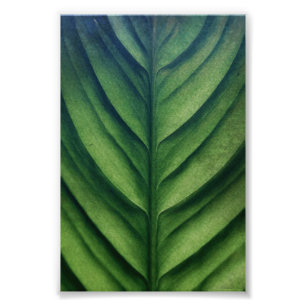 Watercolor Green Leaf Photo Print