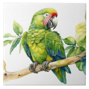 Watercolor Green Parrot on a Tree Branch Ceramic Tile
