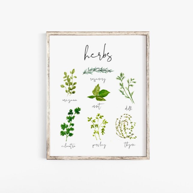 Watercolor Herb Kitchen Print Wall Art (Creator Uploaded)