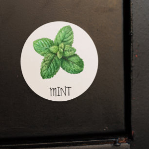 Watercolor Herb Mint Classic Round Sticker
