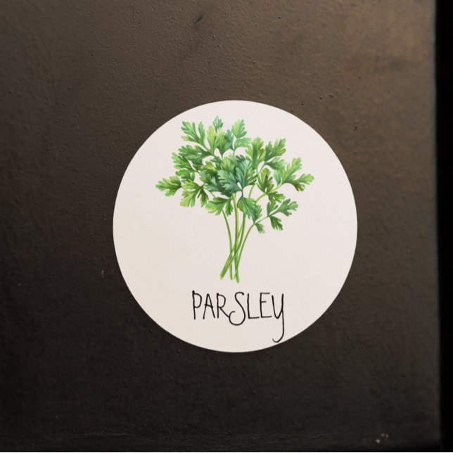 Watercolor Herb Parsley  Classic Round Sticker (Creator Uploaded)
