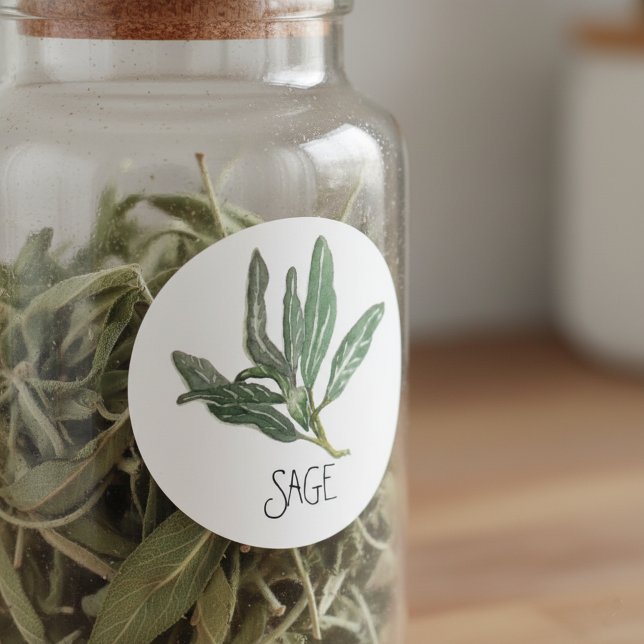 Watercolor Herb Sage Classic Round Sticker (Creator Uploaded)
