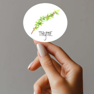 Watercolor Herb Thyme Classic Round Sticker