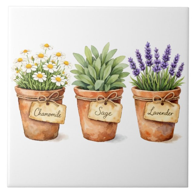 Watercolor Herbs Growing in the Pots  Ceramic Tile (Front)