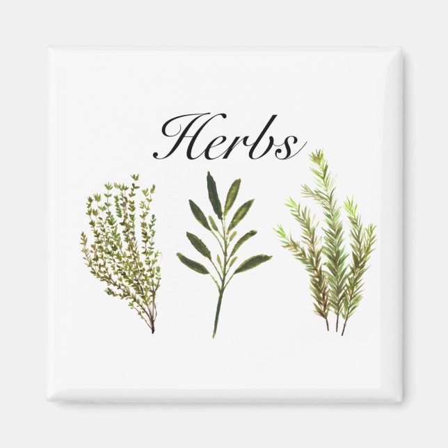 Watercolor Herbs Thyme Rosemary Sage Plants Pot Magnet (Front)