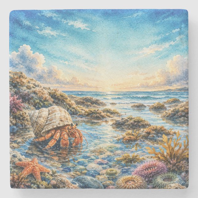 Watercolor Hermit Crab Exploring Tidepool  Stone Coaster (Front)
