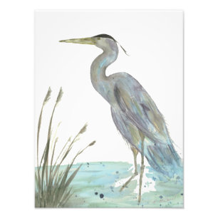 Watercolor Heron Photo Print