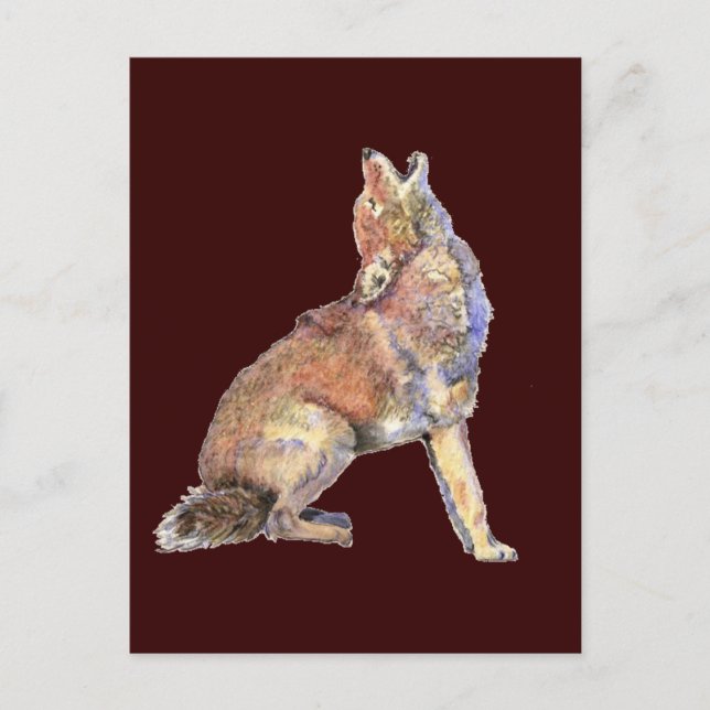 Watercolor Howling Coyote, Animal, Nature Wildlife Postcard (Front)