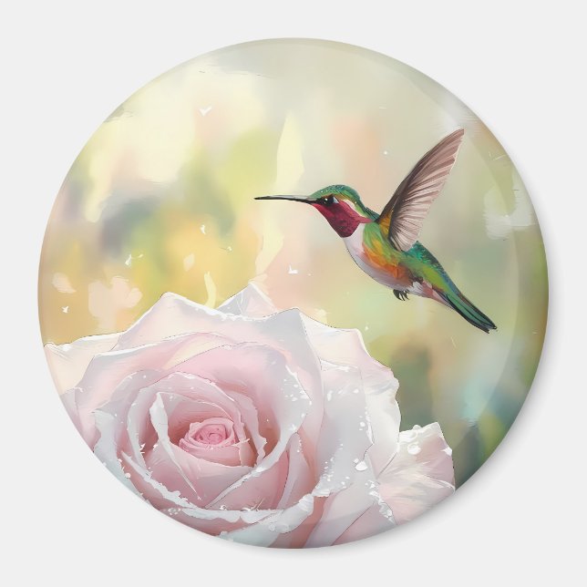 Watercolor Hummingbird and Pink Rose Magnet (Front)