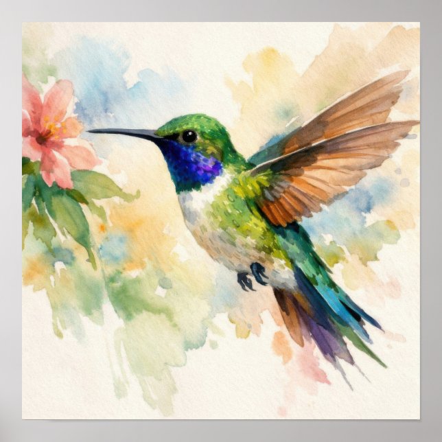 Watercolor Hummingbird Poster (Front)