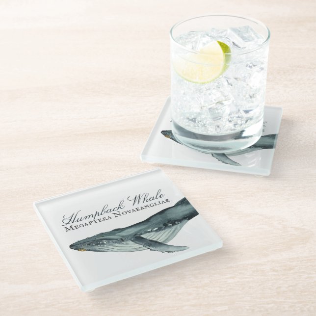 Watercolor Humpback Whale, Megaptera Novaeangliae Glass Coaster (Angled)