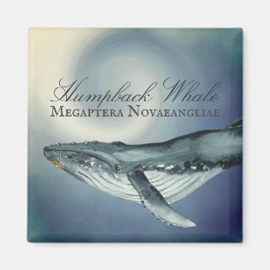 Watercolor Humpback Whale, Megaptera Novaeangliae Magnet