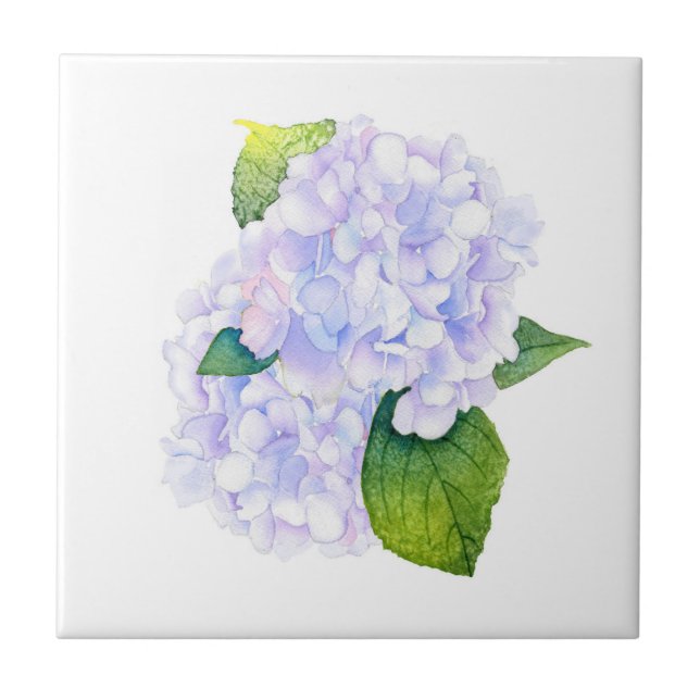 Watercolor Hydrangeas  Ceramic Tile (Front)
