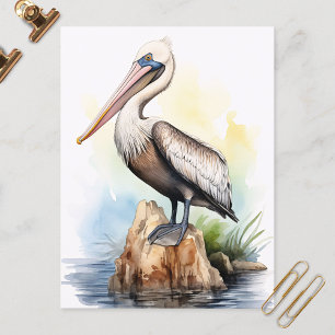 Watercolor Illustration of a Pelican Postcard