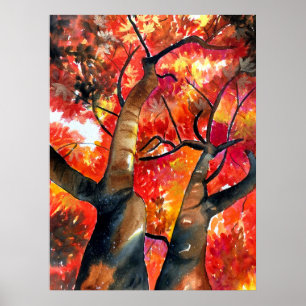 Watercolor Japanese maple tree art Poster