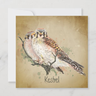 Watercolor Kestrel Falcon Wildlife Bird Art 