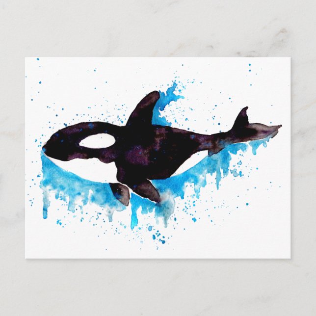 Watercolor Killer Whale Postcard (Front)