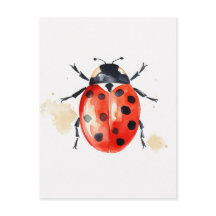 Watercolor Ladybug