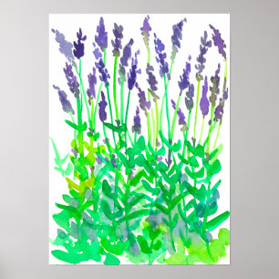 Watercolor Lavender Flower Garden Poster