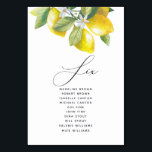 Watercolor Lemon Blossom Seating Chart Table Number<br><div class="desc">Watercolor lemon blossom table number seating chart signs are perfect for hanging on a clothesline for a unique seating chart.</div>