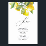 Watercolor Lemon Blossom Seating Chart Table Number<br><div class="desc">Watercolor lemon blossom table number seating chart signs are perfect for hanging on a clothesline for a unique seating chart.</div>