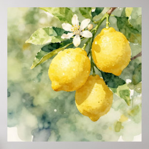 Watercolor Lemon Branch Botanical Summer Poster