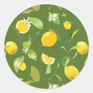 Watercolor Lemon & Leaves 5 Classic Round Sticker