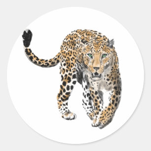 watercolor leopard jungle cat painted animal green classic round sticker