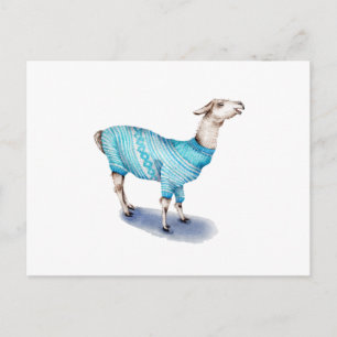 Watercolor Llama in Blue Sweater Postcard