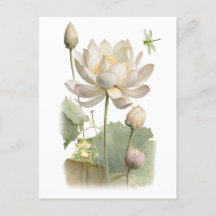 Watercolor Lotus Flowers, Frog and Dragonfly 