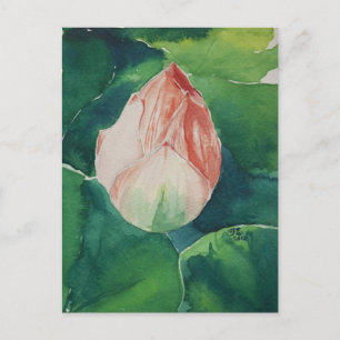 Watercolor Lotus Postcard