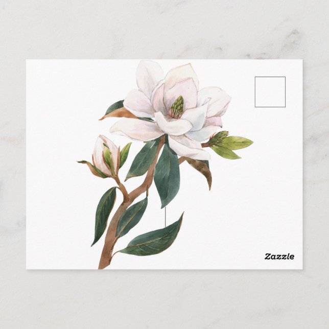 watercolor magnolia flower postcard (Back)