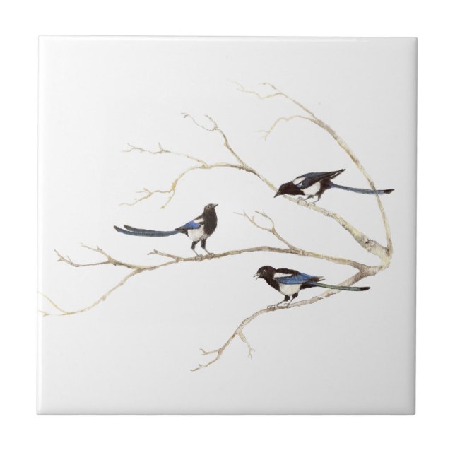  Watercolor Magpie Bird Family Chatting in Tree Ceramic Tile (Front)