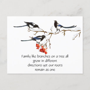 Watercolor Magpie Family Quote Animal Nature  Postcard