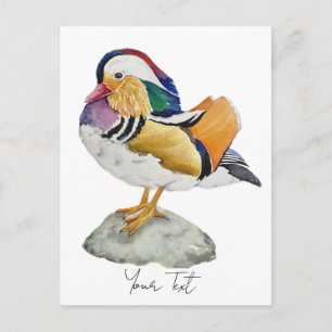 Watercolor Mandarin Duck Postcard