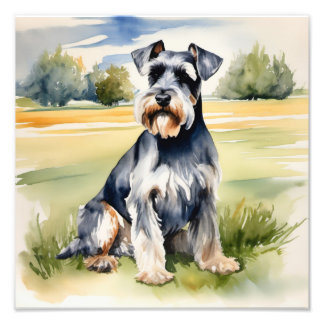 Watercolor Miniature Schnauzer – Dog Art Print