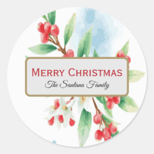 Watercolor Mistletoe on Blue and White Background Classic Round Sticker