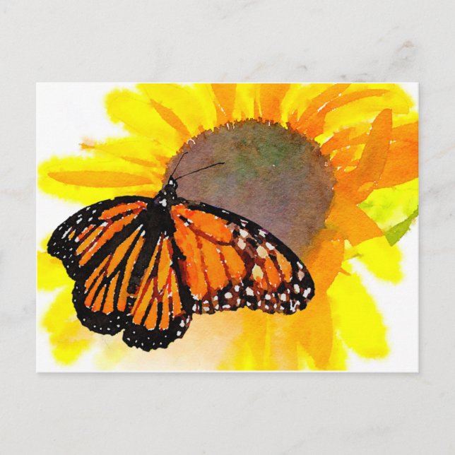 Watercolor Monarch Butterfly and Sunflower Postcard (Front)