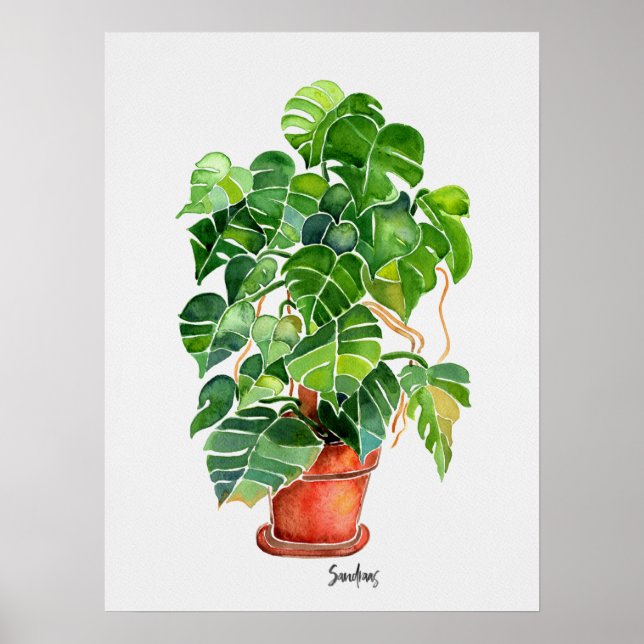 Watercolor Monstera Plant in pot Poster (Front)