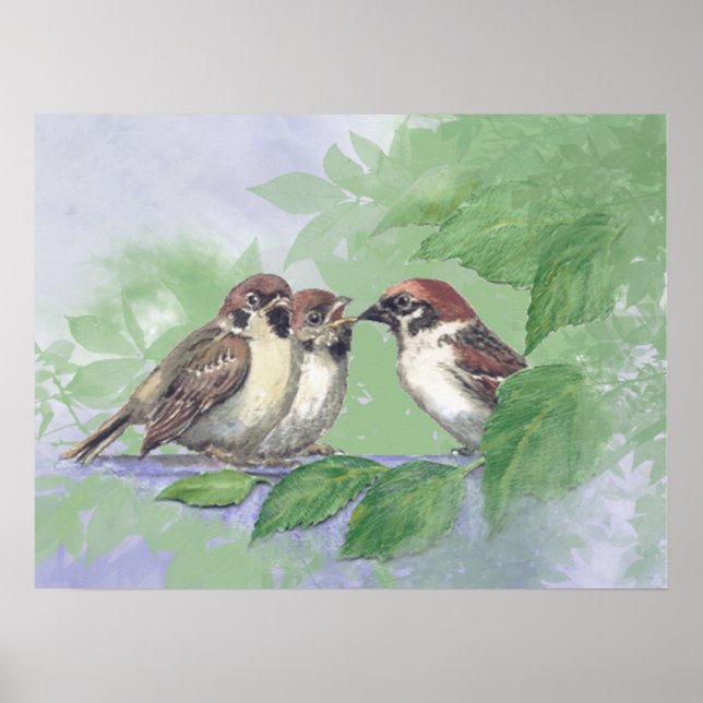 Watercolor Mother Sparrow Feeding Chicks Poster (Front)