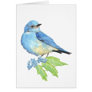 Watercolor Mountain Bluebird Blue Bird Art for the