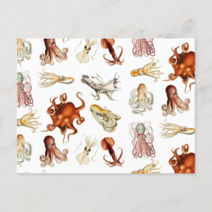 Watercolor Octopus Cephalopod Ocean Animals Holiday Postcard