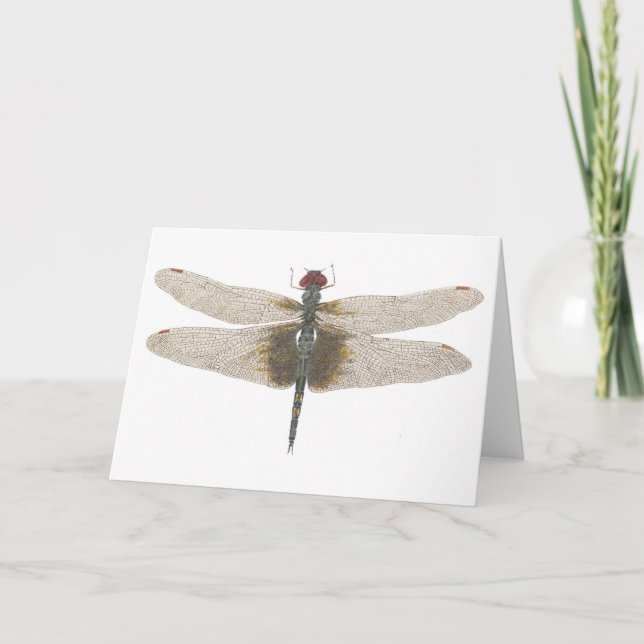 Watercolor of a Male Black Saddlebags Dragonfly Card (Front)